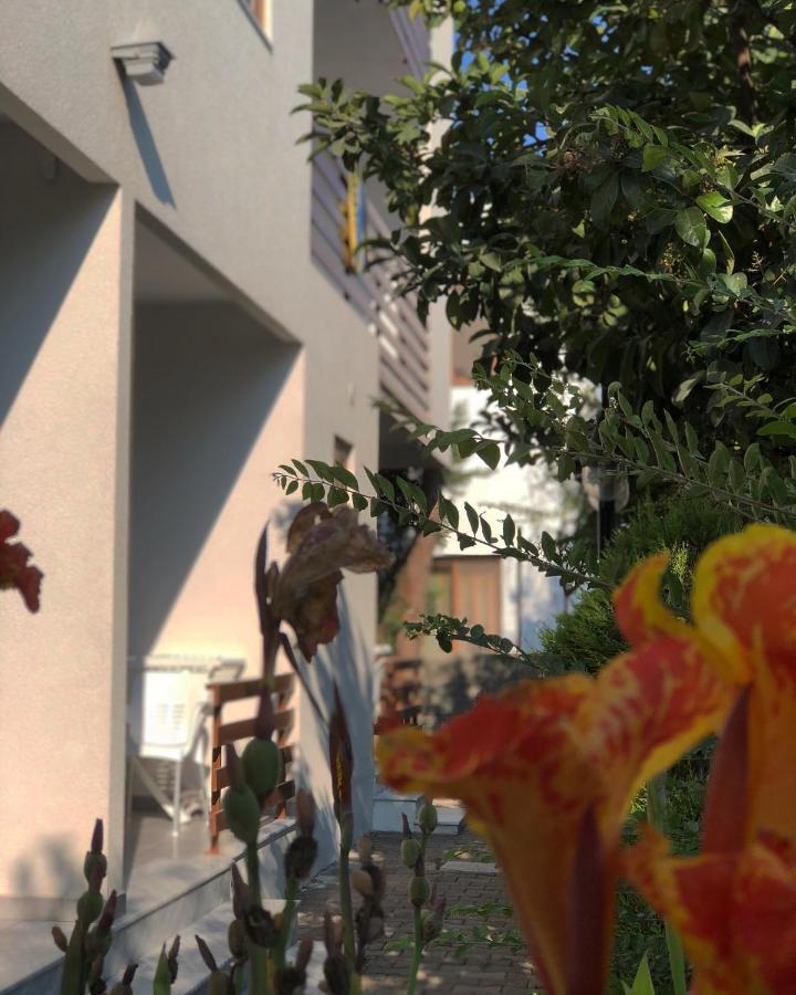 Hotel Athina Velipojë Dış mekan fotoğraf
